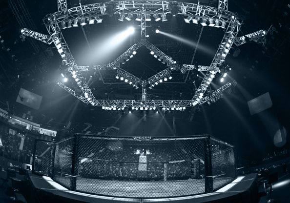 Immagine ufficiale secondaria di UFC e Stake: portata ed evoluzione della partnership nel MMA